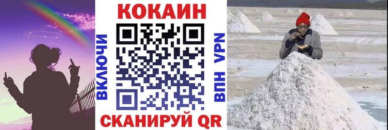 дарнет шоп  Спасск  Кокаин FishScale 