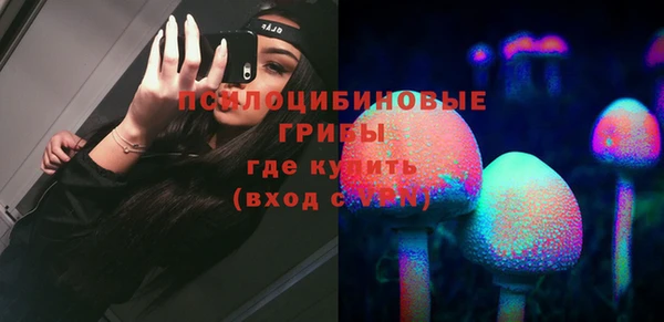 2c-b Ладушкин
