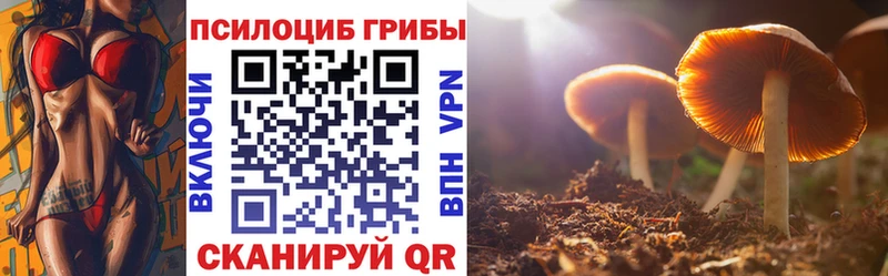 Галлюциногенные грибы прущие грибы  shop состав  Спасск 